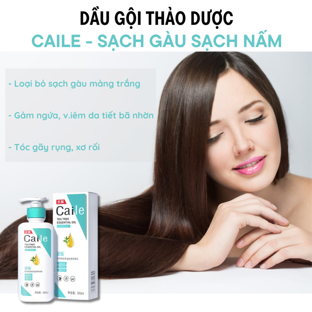 Dầu gội thảo dược CAILE - Dầu gội giúp xua tan gàu, v.i.ê.m da đầu, cho mái tóc đen mượt mà, hương thơm lan tỏa trên tóc