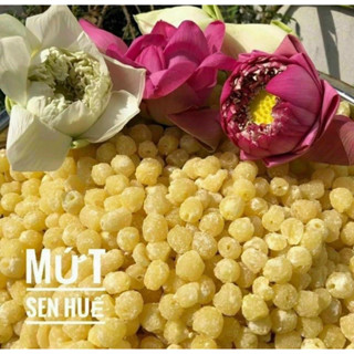  Mứt hạt sen thượng hạng  ít ngọt . Trái cây sấy Minh Nhi 