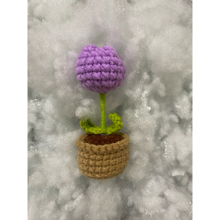 CHẬU HOA TULIP LEN HANDMADE