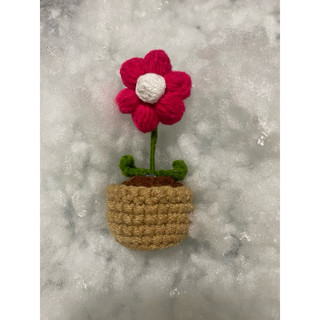 CHẬU HOA 6 CÁNH LEN HANDMADE