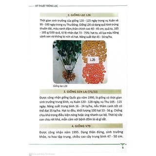 Sách - Kỹ Thuật Trồng Lạc - Hướng dẫn kỹ thuật trồng lạc từ A-Z