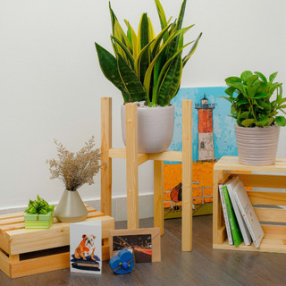 Đôn gỗ đựng cây cảnh Behomes
