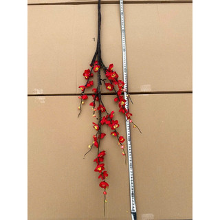 Cành đào cổ trang trí cắm bình decor tết