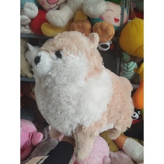 Gấu bông cún amuse size 40-45cm