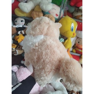 Gấu bông cún amuse size 40-45cm