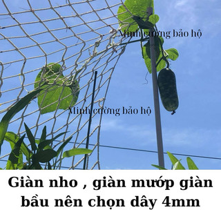 Lưới trồng cây ( dây leo giàn polyester) nhiều kích thước sợi 4ly ô 14cm