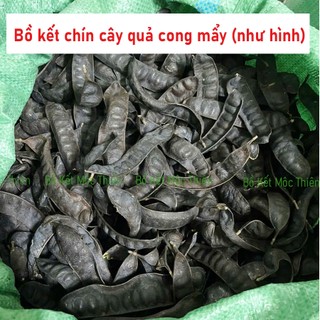 Bồ kết khô quả dé nhỏ (có ít lỗ mọt) rụng thơm 1kg
