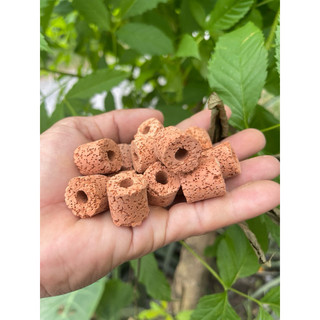 1kg   sứ nhẫn trắng.sứ nhẫn đỏ lọc nước  bể  cá