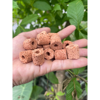 1kg   sứ nhẫn trắng.sứ nhẫn đỏ lọc nước  bể  cá