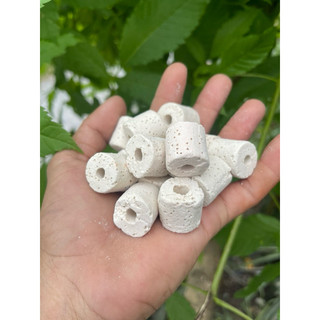 1kg   sứ nhẫn trắng.sứ nhẫn đỏ lọc nước  bể  cá