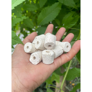 1kg   sứ nhẫn trắng.sứ nhẫn đỏ lọc nước  bể  cá