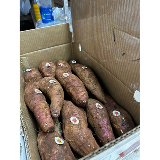 Mật Tà Nung mật Đà Lạt thùng 5kg