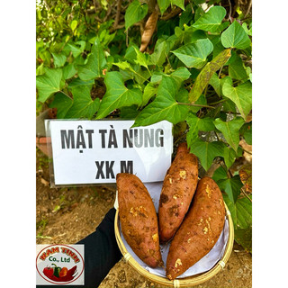 Mật Tà Nung mật Đà Lạt thùng 5kg