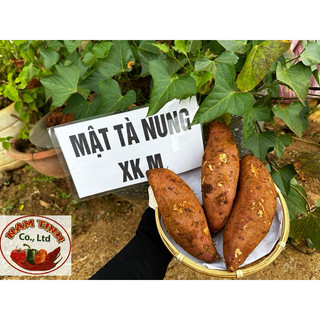 Mật Tà Nung mật Đà Lạt thùng 5kg