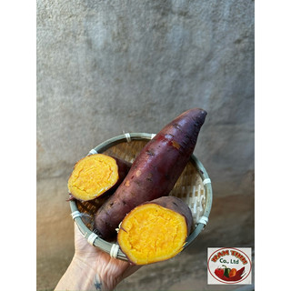 Mật Tà Nung mật Đà Lạt thùng 5kg