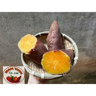 Mật Tà Nung mật Đà Lạt thùng 5kg
