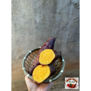 Mật Tà Nung mật Đà Lạt thùng 5kg