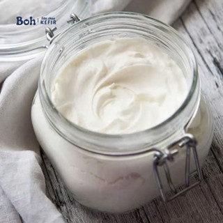 Sữa Chua Hy Lạp không đường tinh lọc từ sữa chua Kefir, Greek Yogurt bổ sung protein và lợi khuẩn tốt cho cơ thể