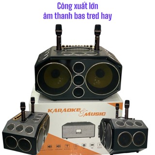 Loa Kéo Karaoke Công Suất Lớn 1300W, Loa Kéo Bluetooth BOX 310 Pro, Hệ Thống Loa 2 Bass 20Cm+ 6Trung 10 Treble Cực Chất