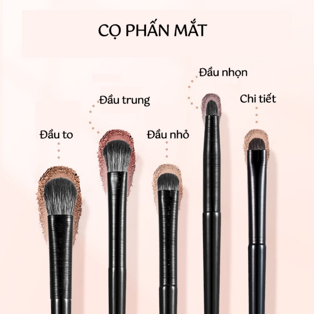Bộ 5 Cọ Trang Điểm Mắt Chuyên Nghiệp, Cọ Đánh Phấn Mắt, cọ bắt sáng, cọ kẻ lông mày Nhỏ Gọn Tiện Lợi | BigBuy360 - bigbuy360.vn