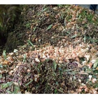 1kg Trà sơn mật hồng sâm(loại đặc biệt nhiều hoa nhài, cỏ ngọt...)