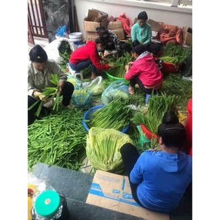 cốm sữa / nếp đục / ngô tím / đòng đòng thủ công không đau đầu không khát nước