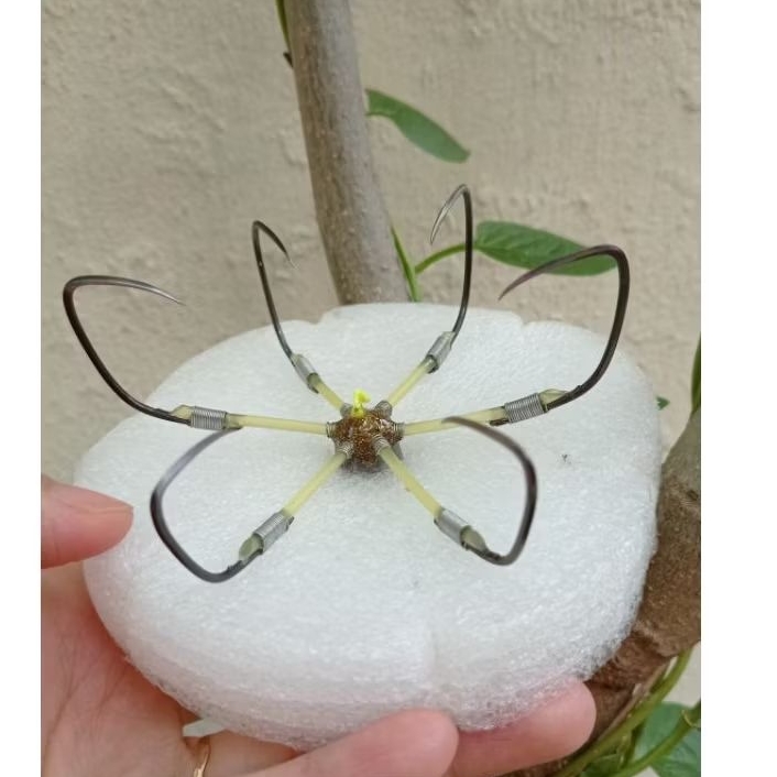 (Hàng chất lượng cao) LƯỠI CÂU LỤC #16( 11 CM)