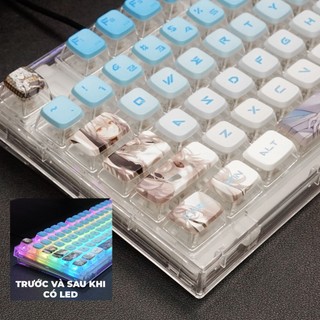 Keycap Cho Bàn Phím Cơ Giá Rẻ, Keycap Pudding Side