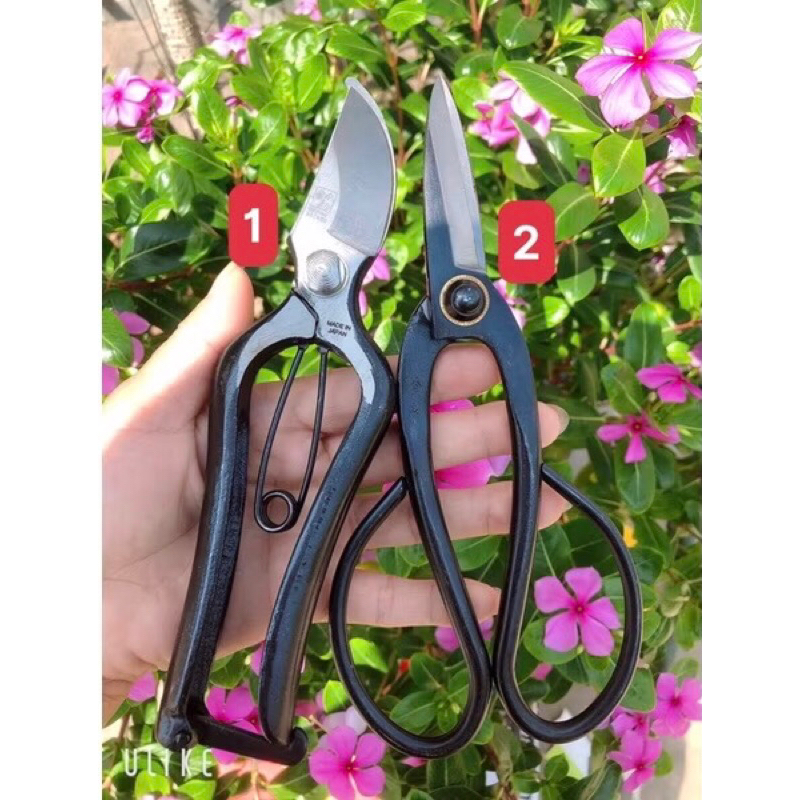 ( H12 )cặp kéo cắt cành tỉa răm hàng thép đúc nguyên khối siêu sắc