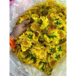 1 lạng hoa mai/ đào