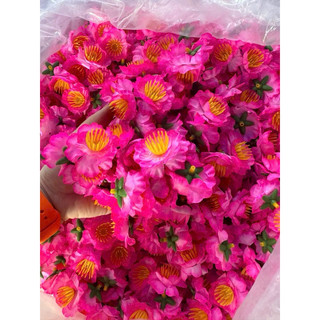 1 lạng hoa mai/ đào