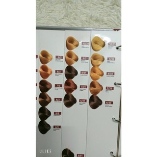 Thuốc Nhuộm Tóc Hàn Quốc Hộp 100ML