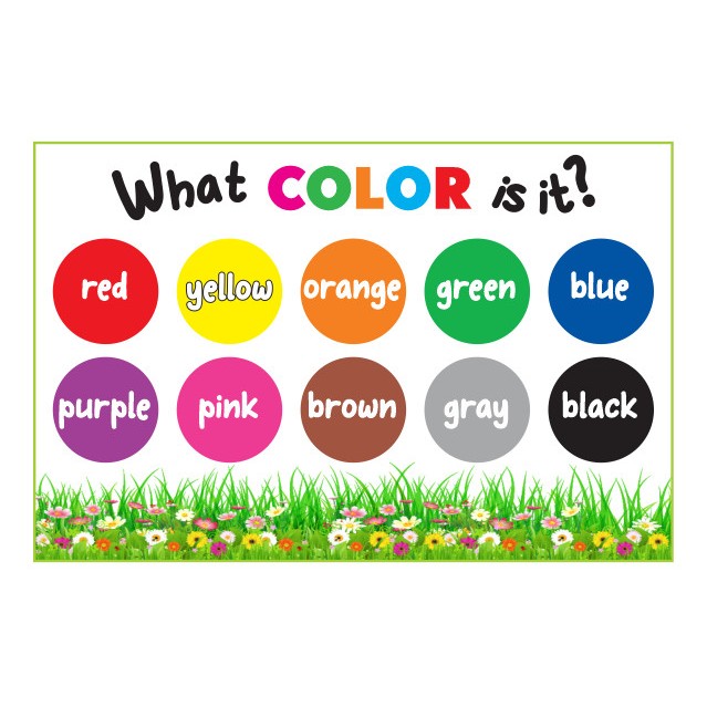 Tranh trang trí Phòng Tiếng Anh - What color is it? TA-060