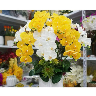 hoa lan đẹp- HOA GIẢ,HOA LỤA Lan cao su 9 bông