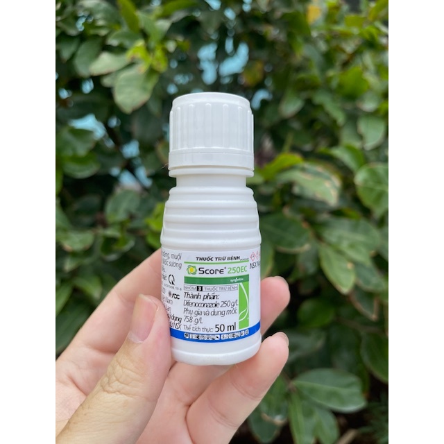 Thuốc Trừ Bệnh Score 250EC - Chai 50ml