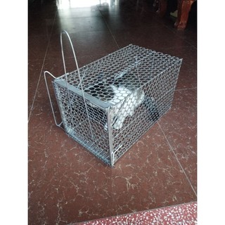 lồng bẫy mèo động vật hoang cỡ lớn