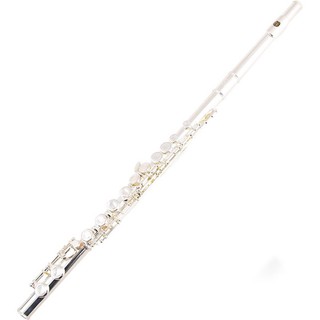 Sáo Flute Cao Cấp Đầy Đủ Phụ Kiện