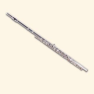 Sáo Flute Cao Cấp Đầy Đủ Phụ Kiện