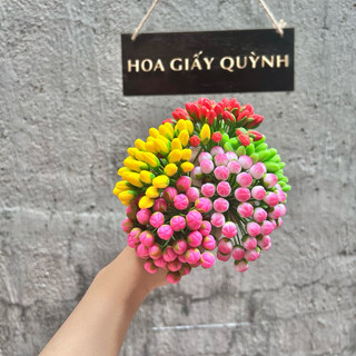 BÓ 50 NỤ MAI/ĐÀO ĐẤT SÉT