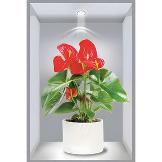 Tổng hợp các mẫu Tranh dán tường 3D chậu cây hoa