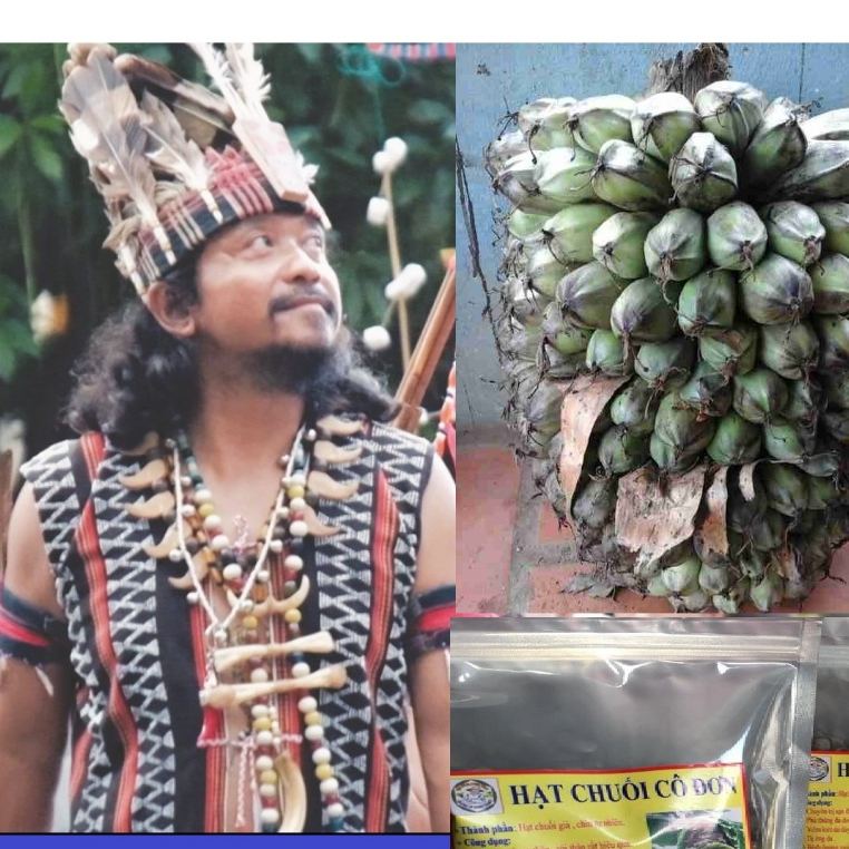 ALONE BANANA - ĐỆ NHẤT CHUỐI RỪNG