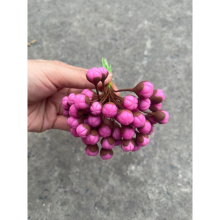 Nụ đào thường làm hoa