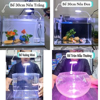 ĐÈN LED KẸP MINI CHO BỂ CÁ JENECA D1S (ĐỔI MÀU)