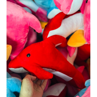 (Giá xưởng) Gấu Bông Cá Heo 30cm, Gấu Bông Cá Heo Siêu Đáng Yêu Dành Cho Bé Siêu Chất Lượng Giá Rẻ