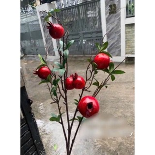 Cành lựu 6-7 quả chưng tết (cành)