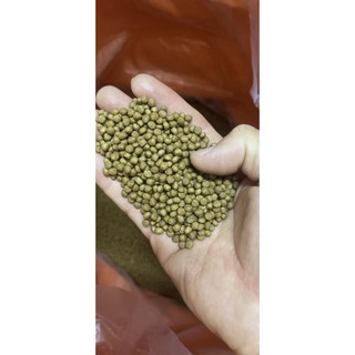Thức ăn cho cá, 20% protein, cho các loại cá tự nhiên đủ kích cở 2mm đến 10mm ( cá nhỏ mua loại nhỏ) 1kg/gói