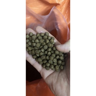 Thức ăn cho cá, 20% protein, cho các loại cá tự nhiên đủ kích cở 2mm đến 10mm ( cá nhỏ mua loại nhỏ) 1kg/gói