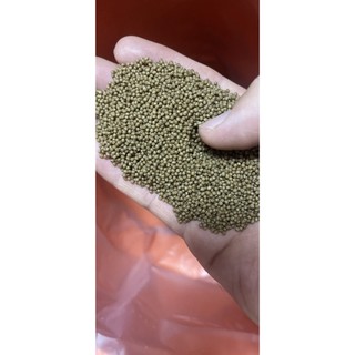 Thức ăn cho cá, 20% protein, cho các loại cá tự nhiên đủ kích cở 2mm đến 10mm ( cá nhỏ mua loại nhỏ) 1kg/gói