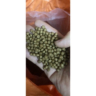 Thức ăn cho cá, 20% protein, cho các loại cá tự nhiên đủ kích cở 2mm đến 10mm ( cá nhỏ mua loại nhỏ) 1kg/gói