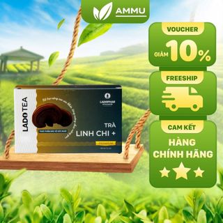  Trà túi lọc LINH CHI LADOPHAR LADO TEA tăng cường sức khỏe hỗ trợ tuần hoàn máu hộp 20 túi lọc 
